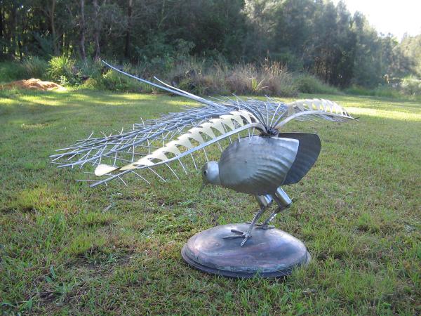 Lyrebird